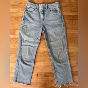 Topshop Straight Leg Jeans